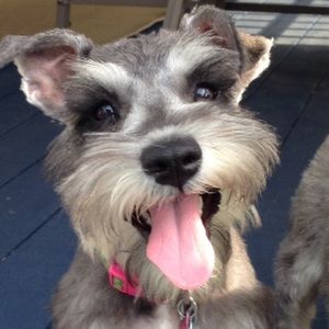 Meet your Posher, Tamie